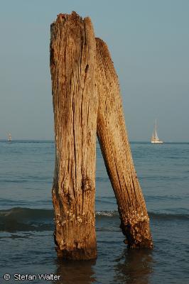 Lignano