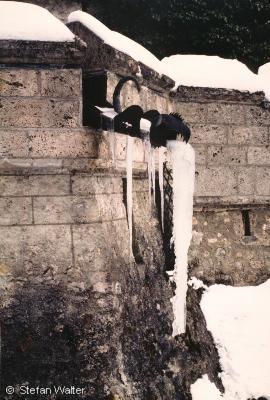 Titel - Wasserspeier am Lichtenstein