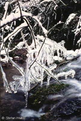 Januar - Eiszapfen