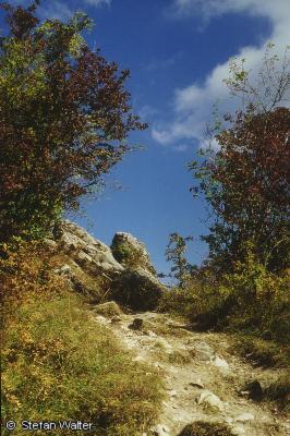 September - Wanderpfad