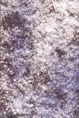 Januar - Eisw�rfel